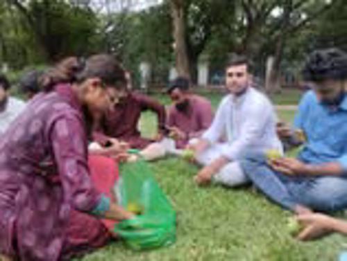 Fruits Festival