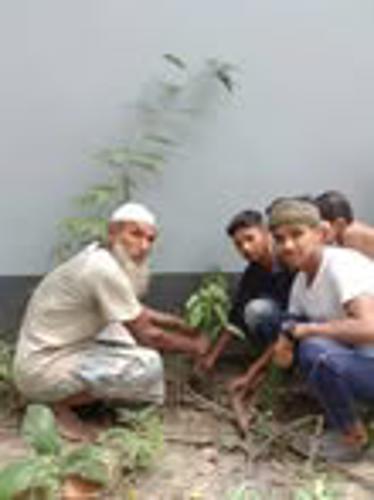 Tree Plantation Program