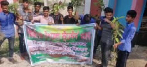 Tree Plantation Program